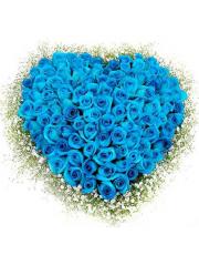 99 Blue Roses