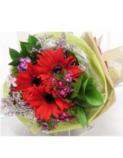 Red Gerberas