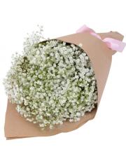 Baby's Breath