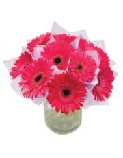 Pink Gerberas